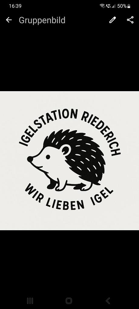 Collagebild 2