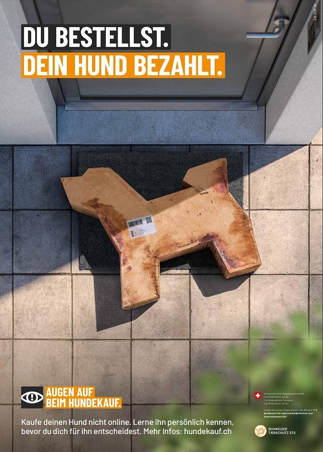 Image related to the post