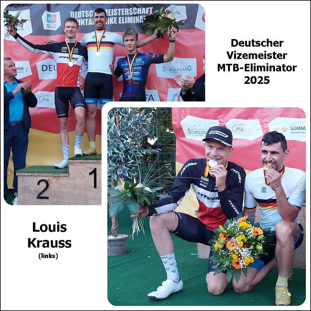Collagebild 1