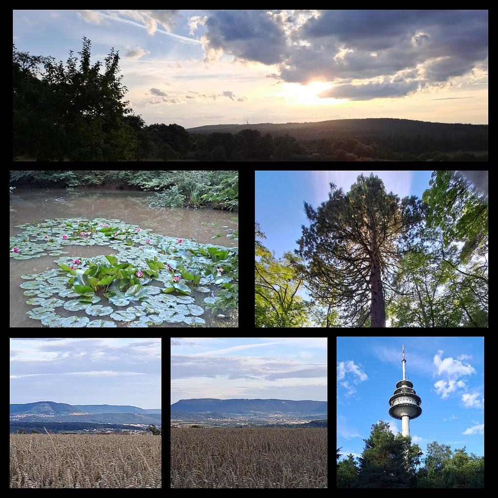 Collagebild 1