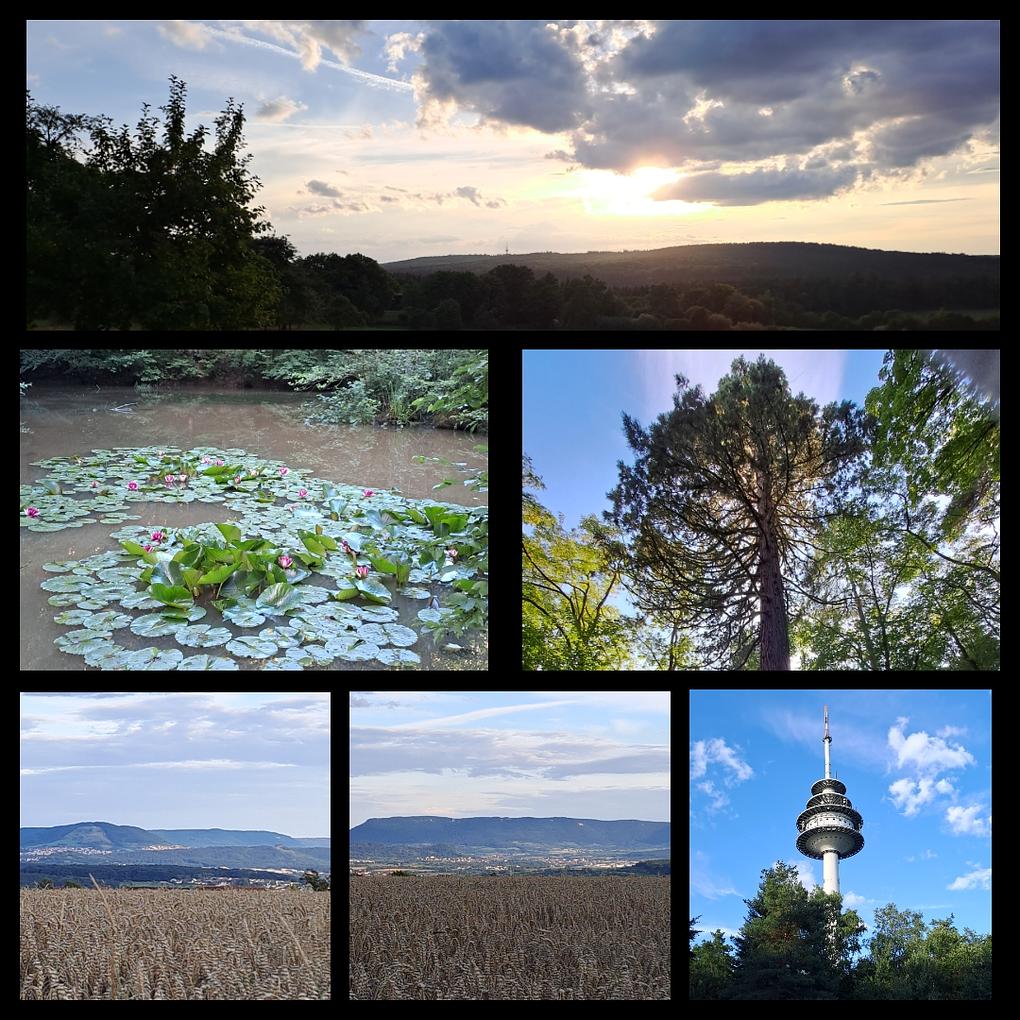 Collagebild 1