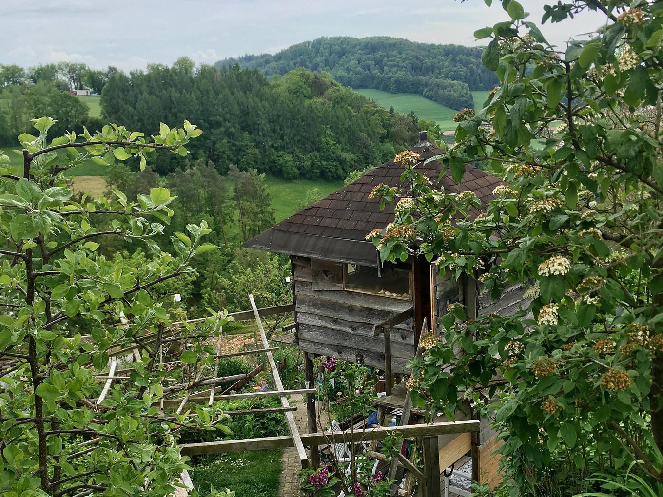 Bild im Zusammenhang mit dem Beitrag