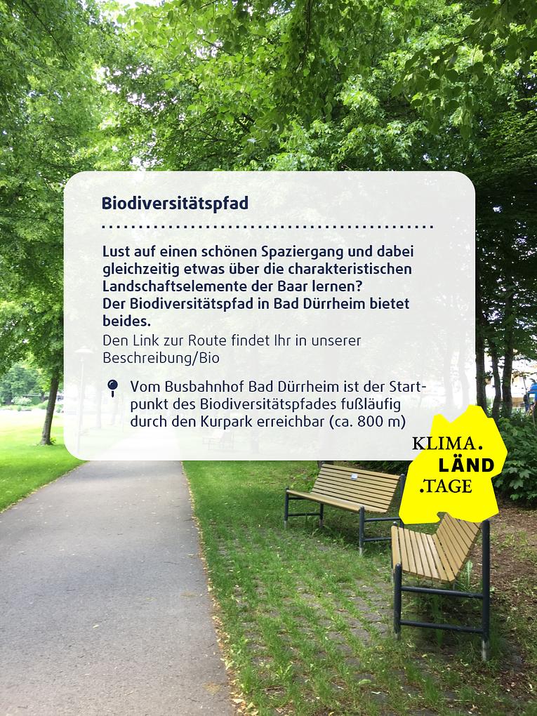 Collagebild 4