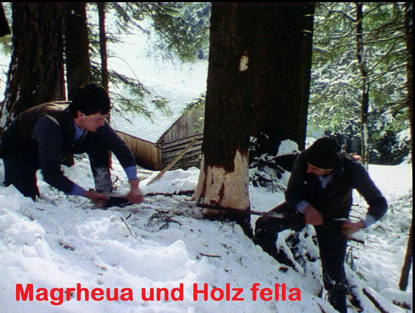 Collagebild 1