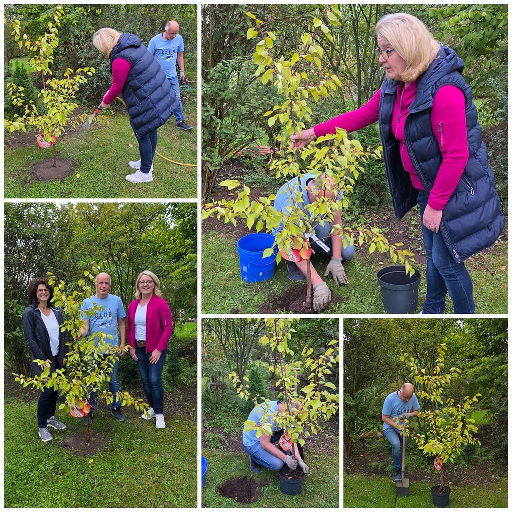 Collagebild 1
