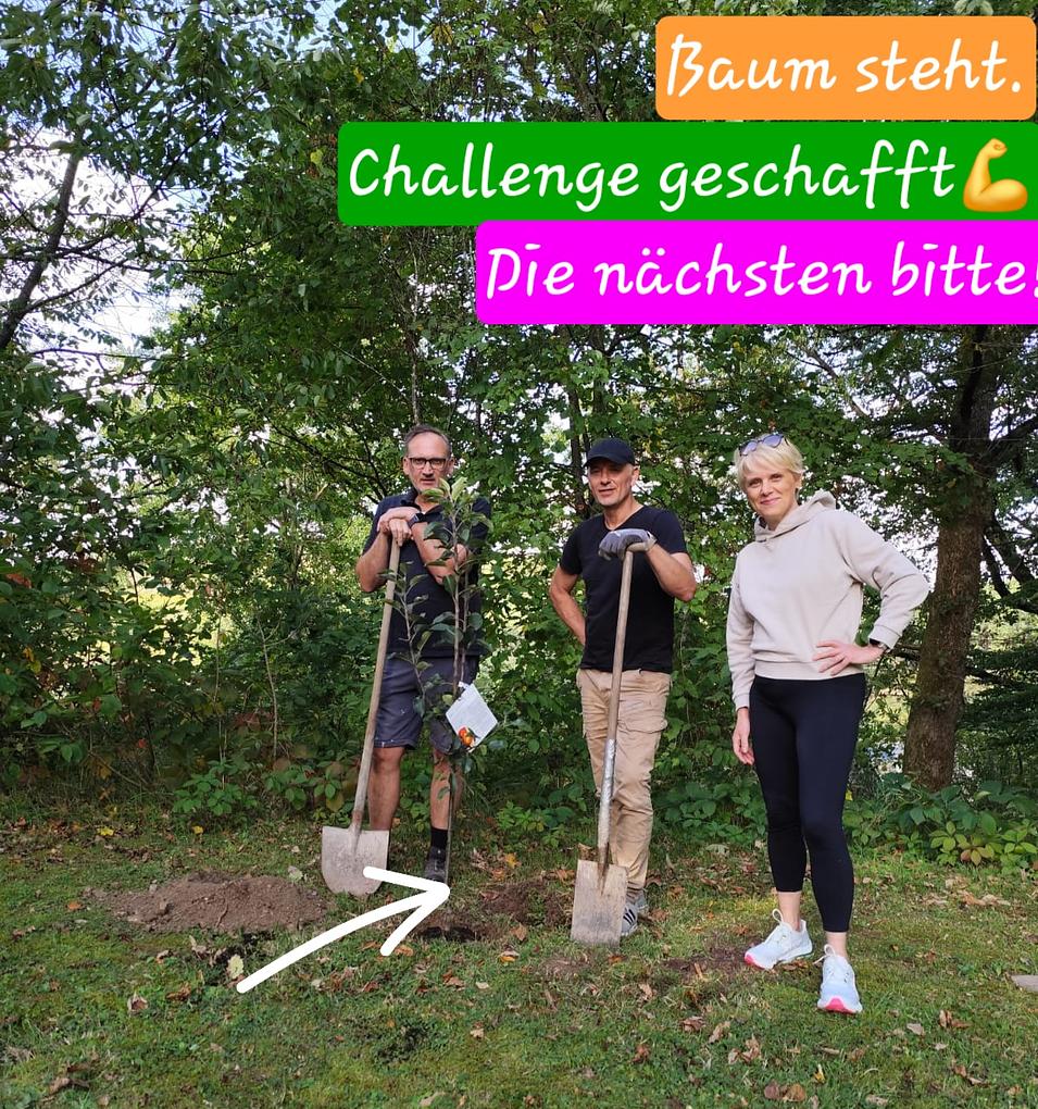 Collagebild 1