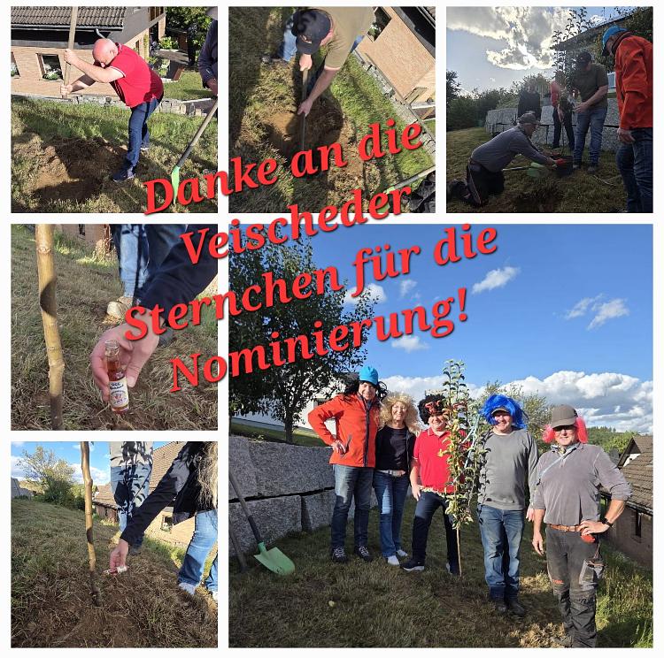 Collagebild 1