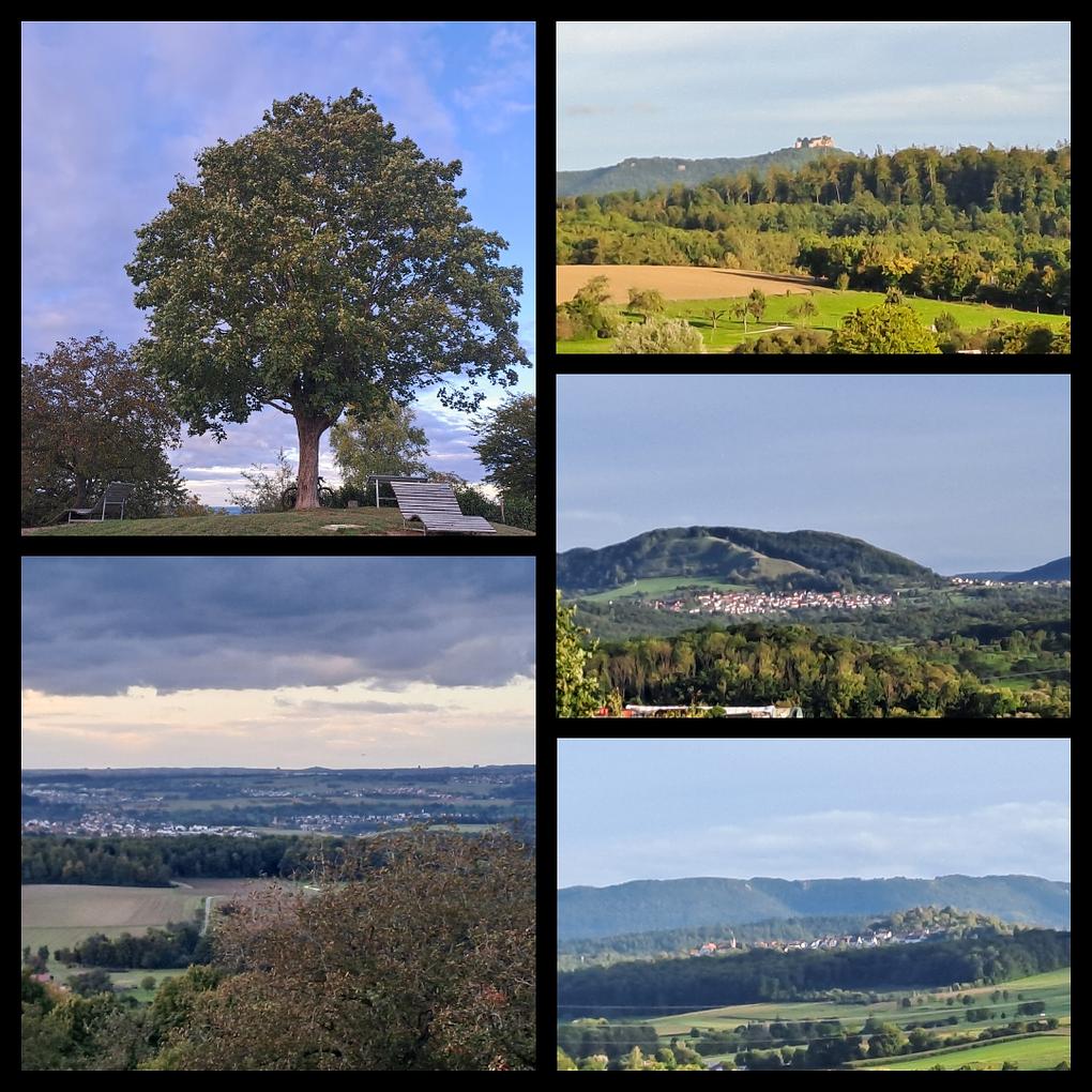 Image de collage 1