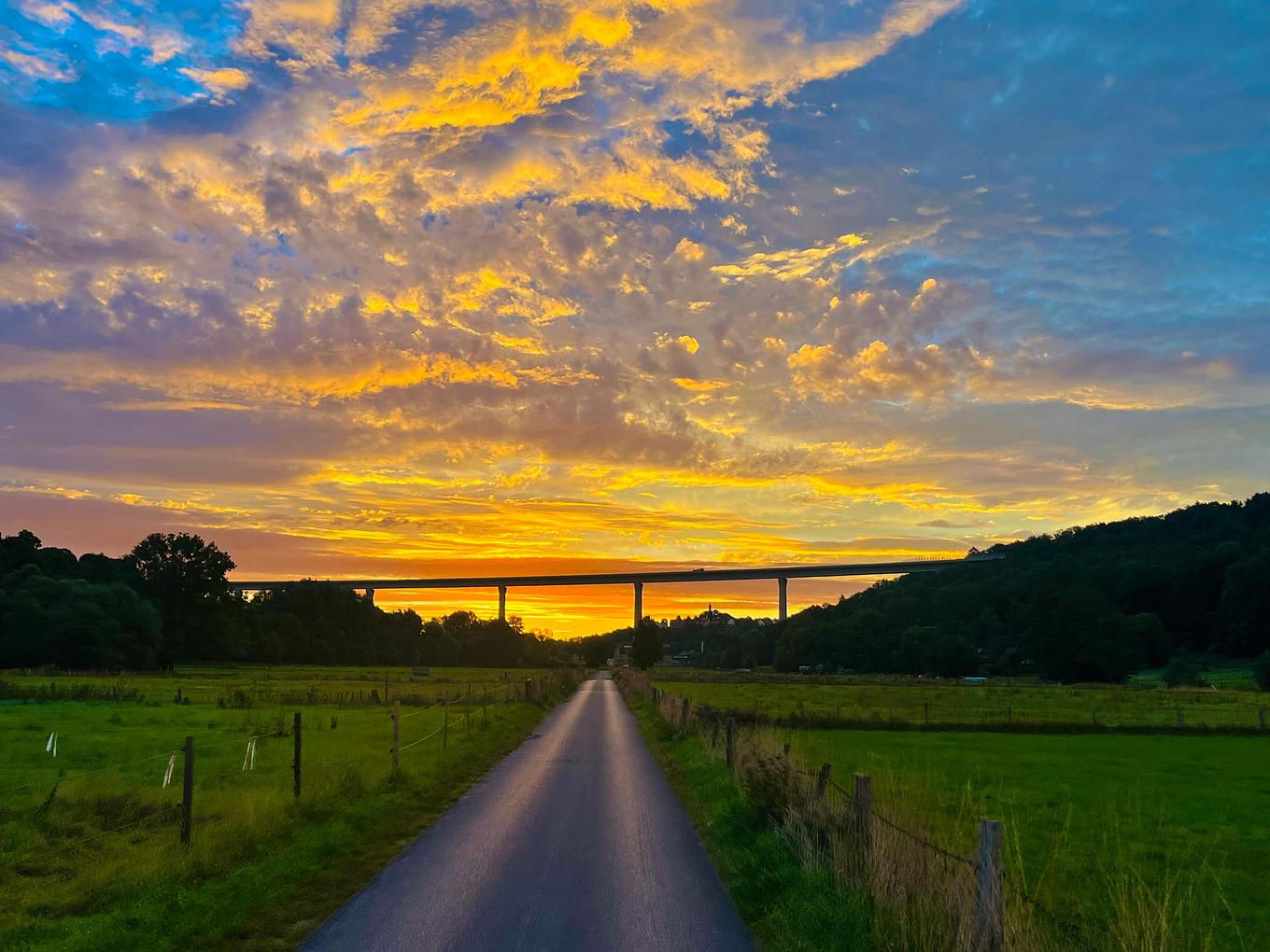 Collage image 1