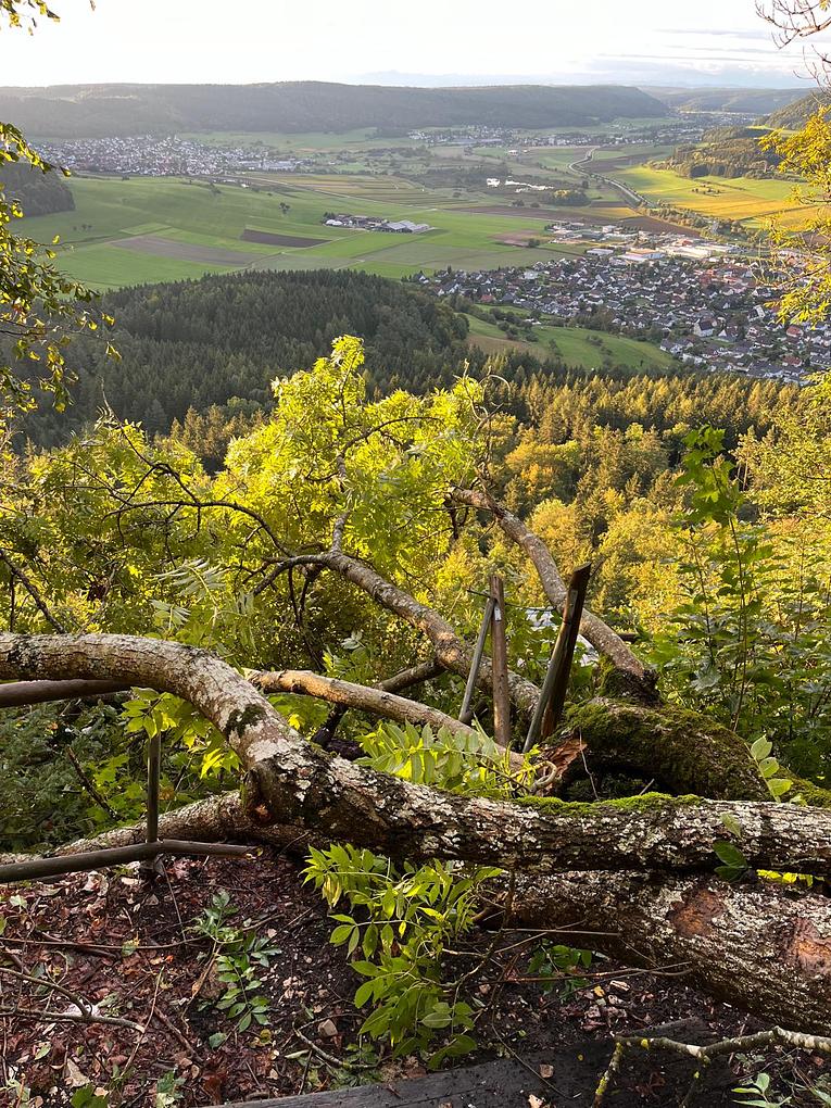Bild im Zusammenhang mit dem Beitrag