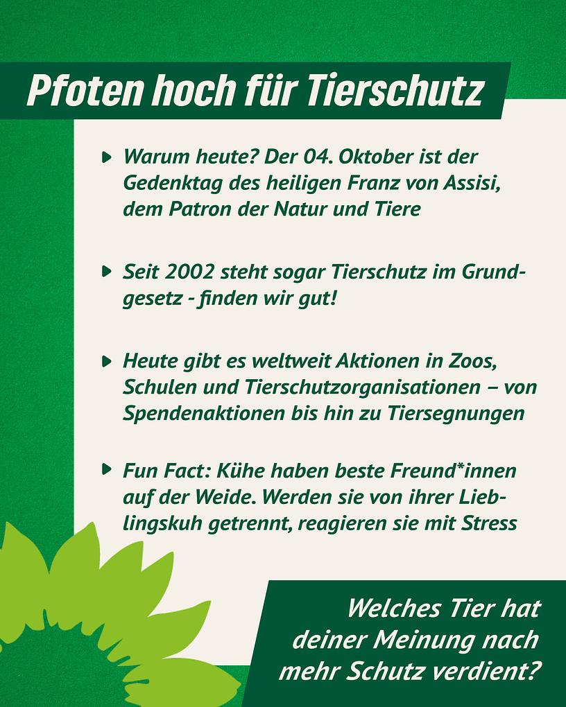 Collagebild 2