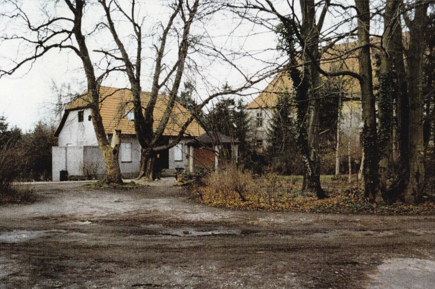 Collagebild 1