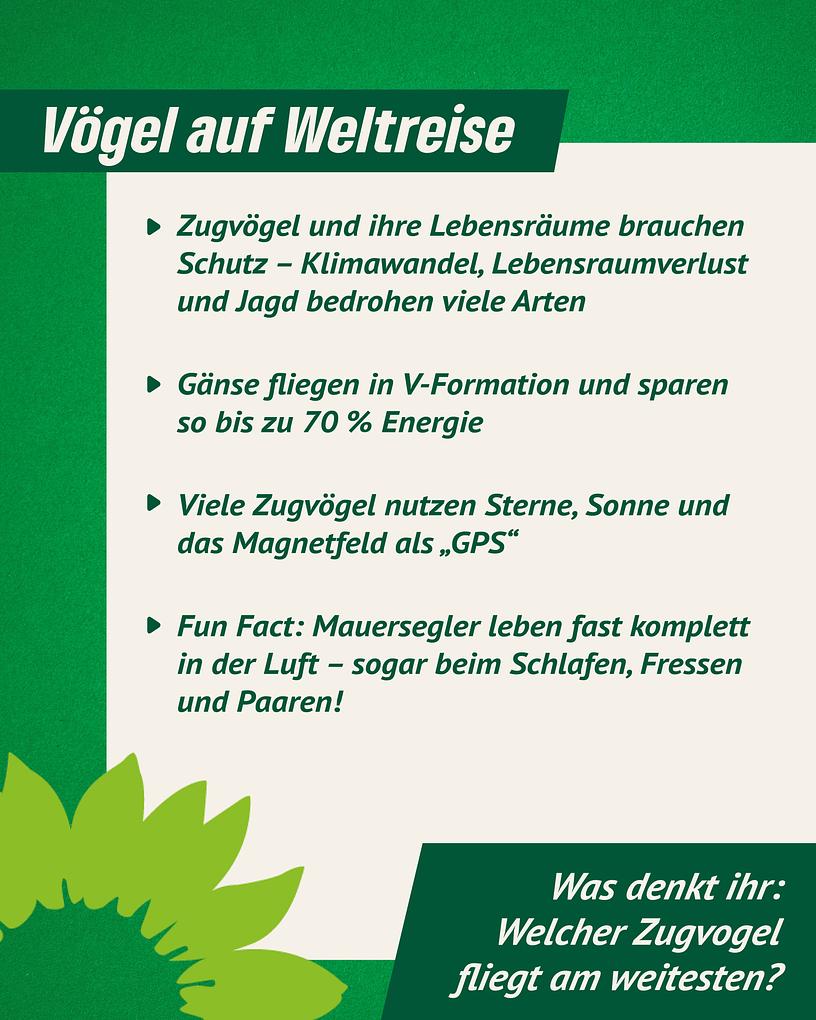 Collagebild 2