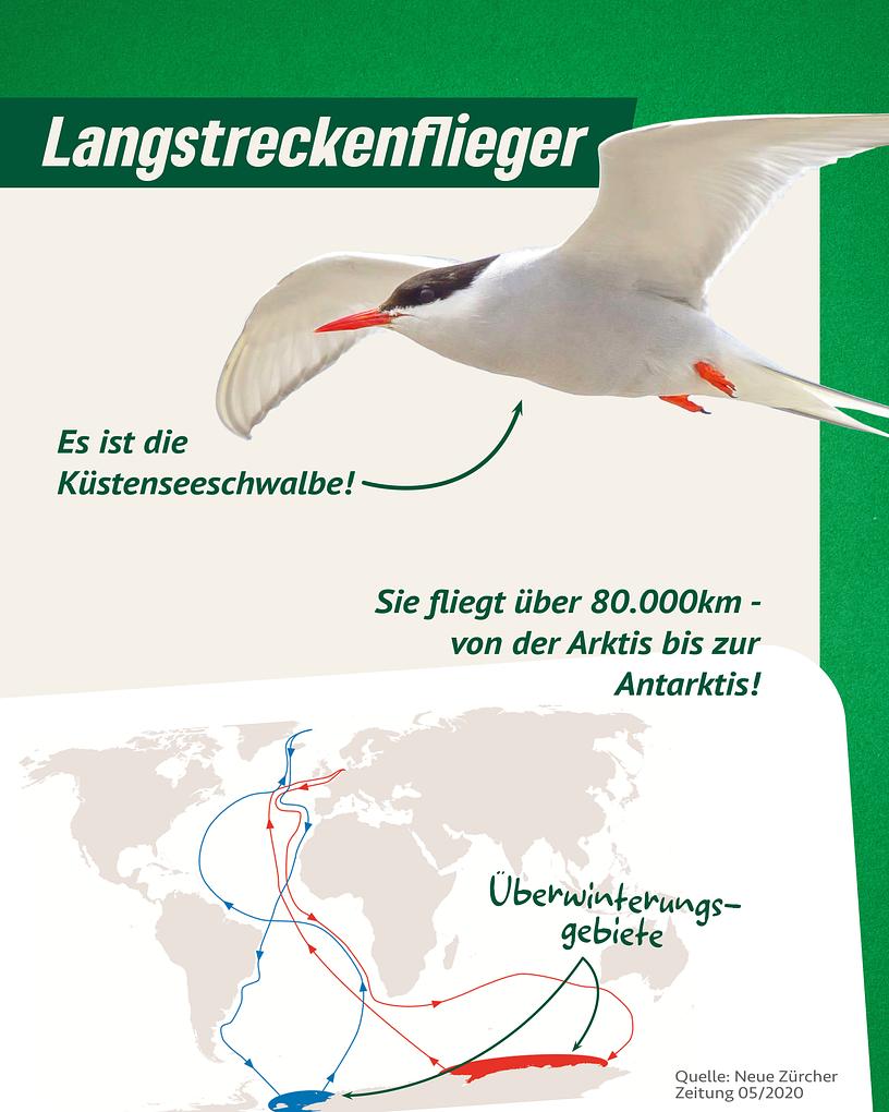 Collagebild 3