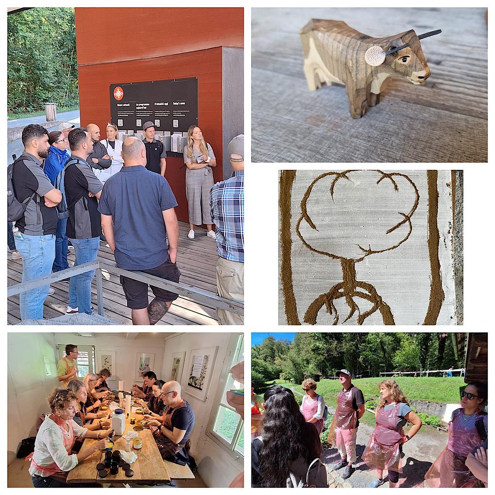 Collage image 1