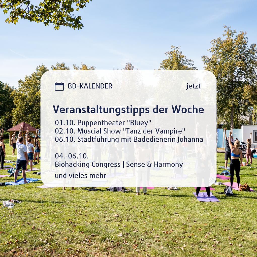 Bild im Zusammenhang mit dem Beitrag