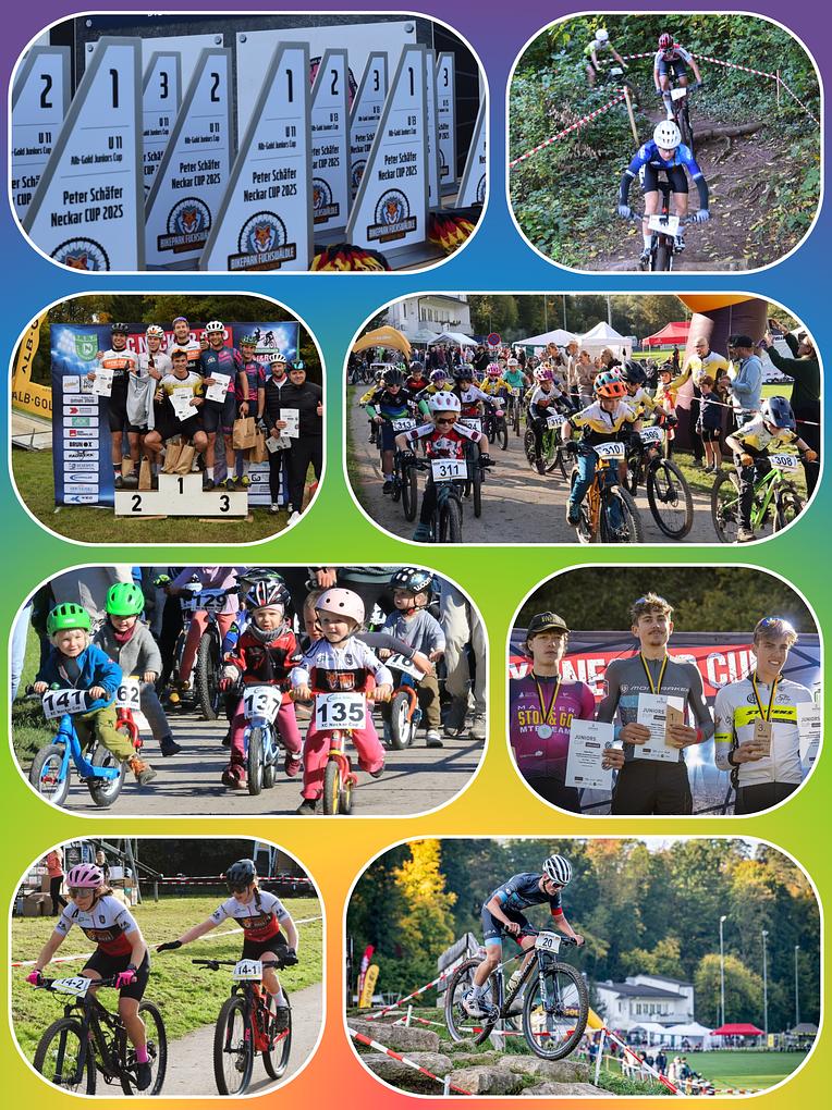 Collage image 1