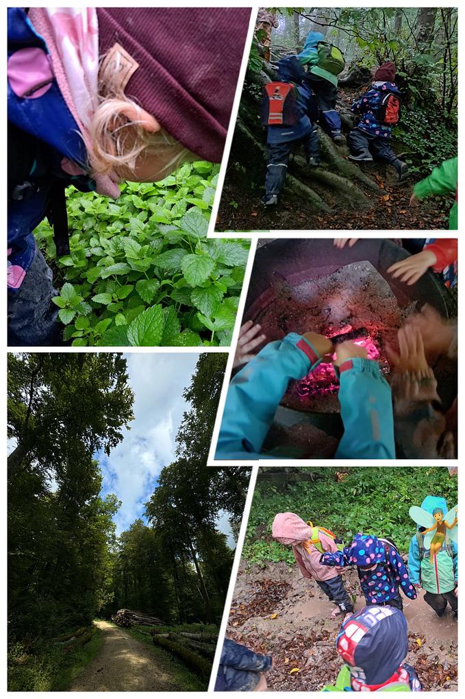 Collagebild 1