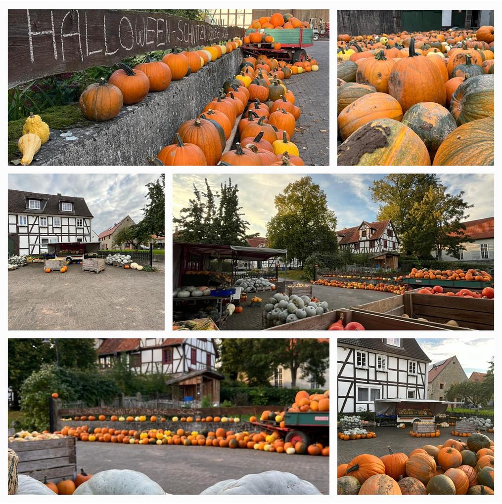 Collagebild 1