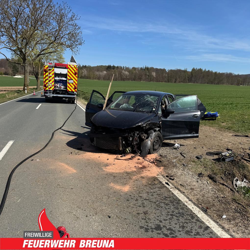Bild im Zusammenhang mit dem Beitrag