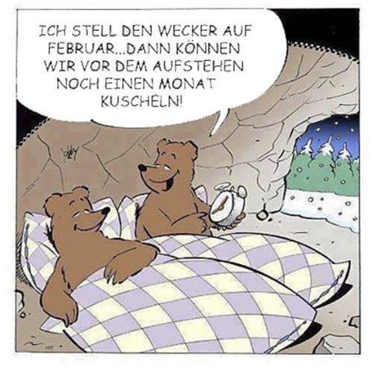 Bild im Zusammenhang mit dem Beitrag