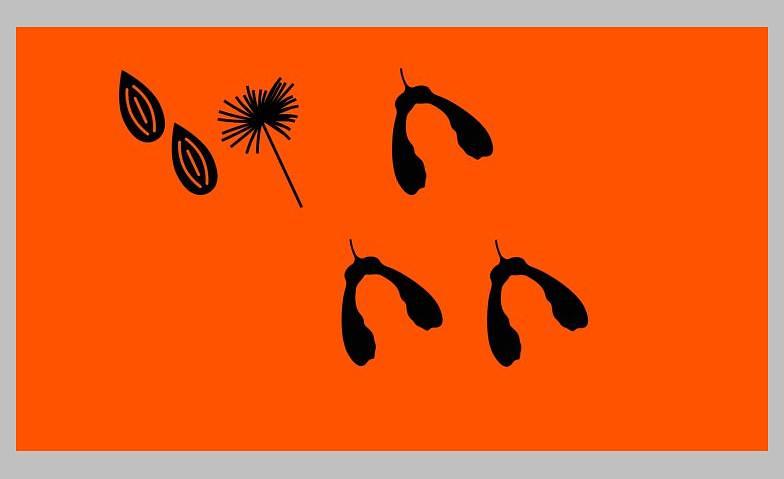 Collagebild 1