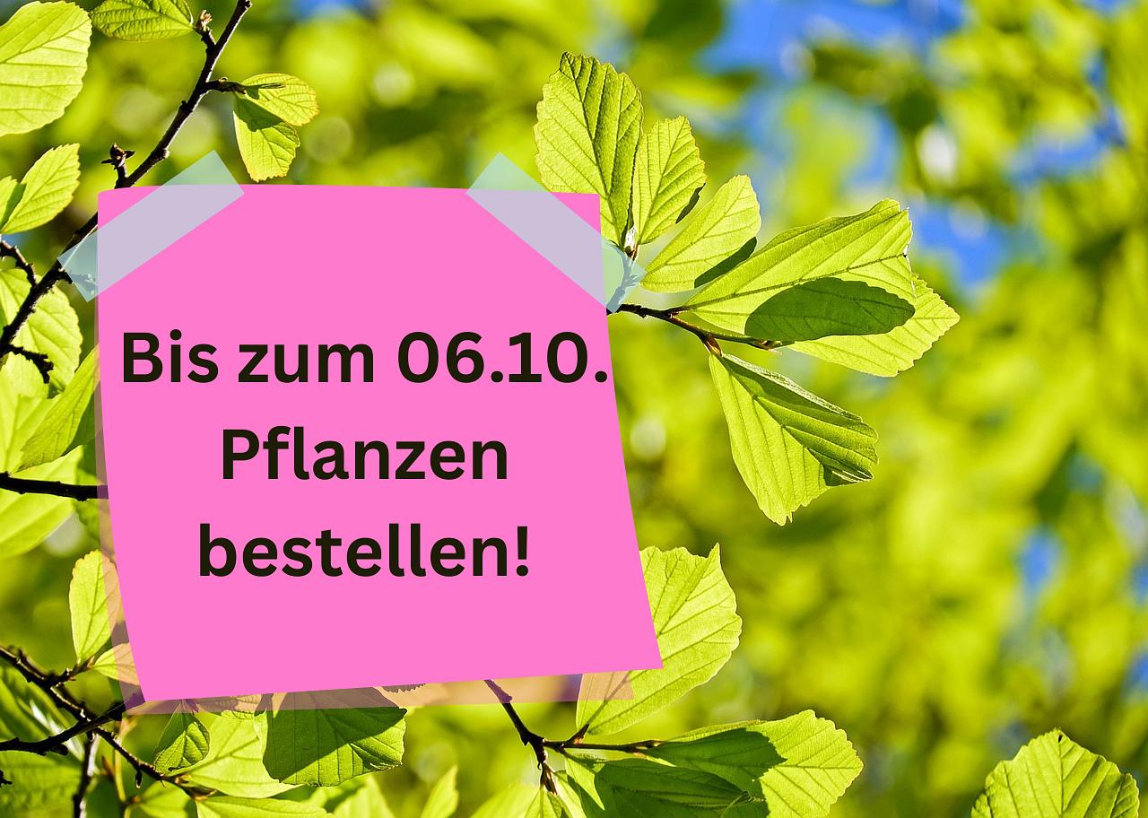 Bild im Zusammenhang mit dem Beitrag