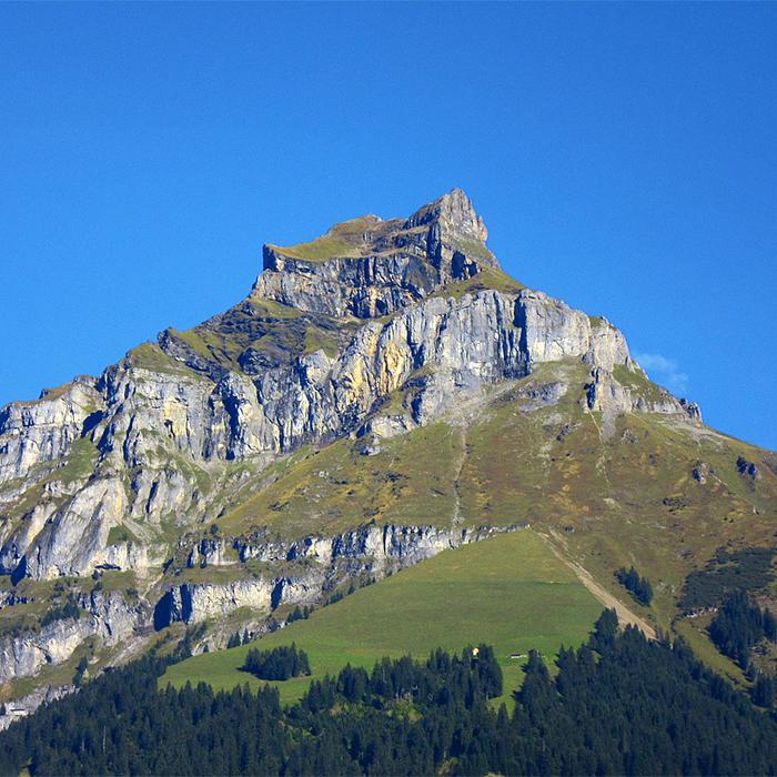 Collagebild 1
