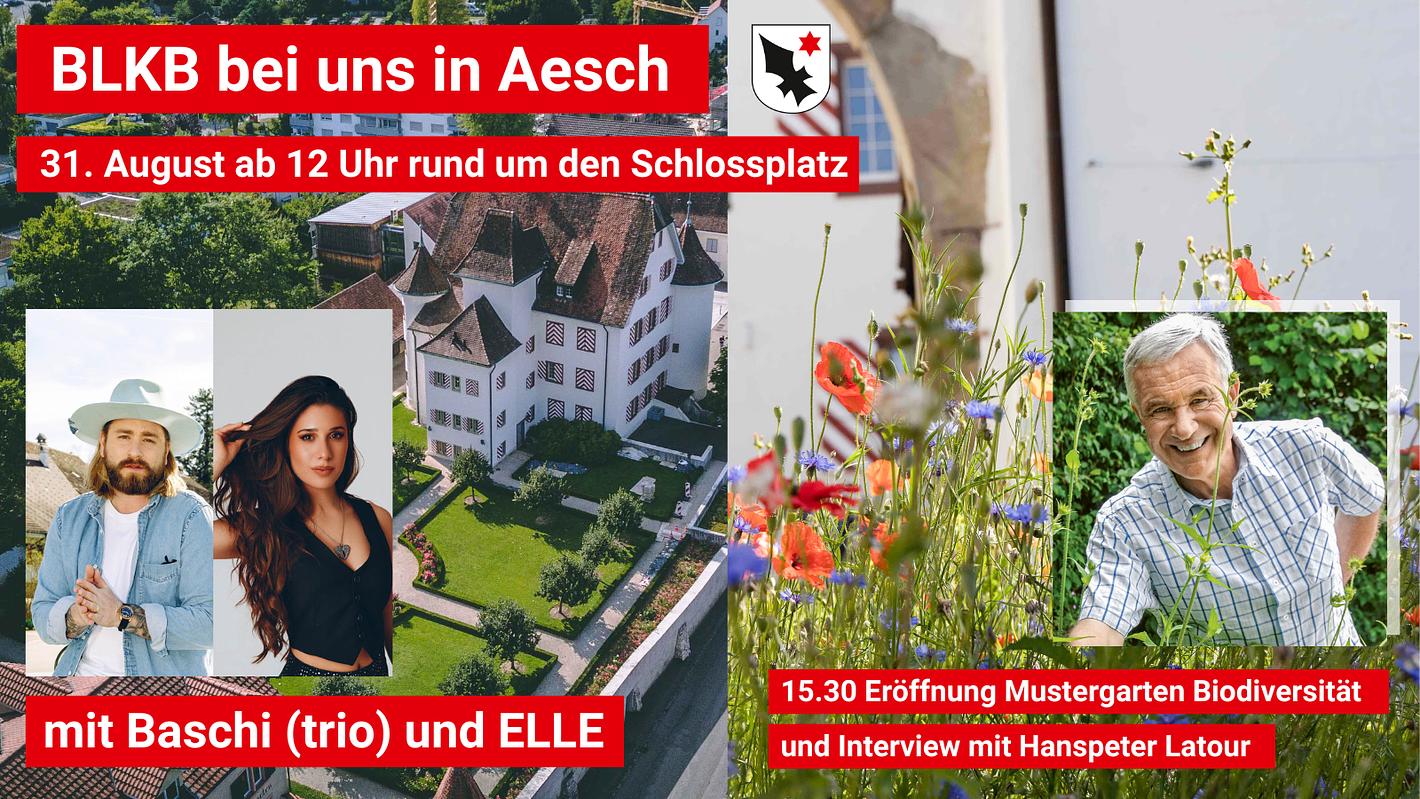 Collagebild 1