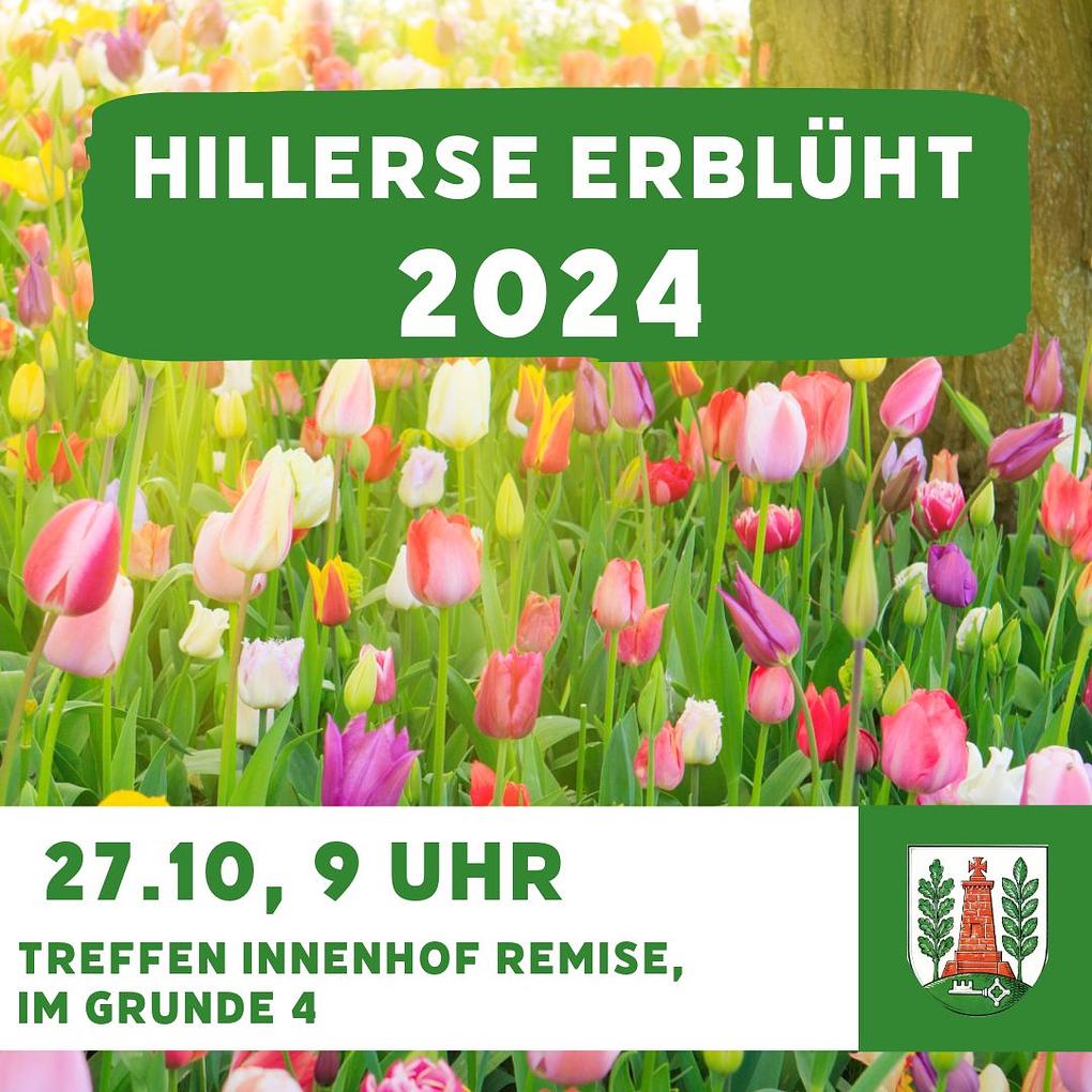 Bild im Zusammenhang mit dem Beitrag