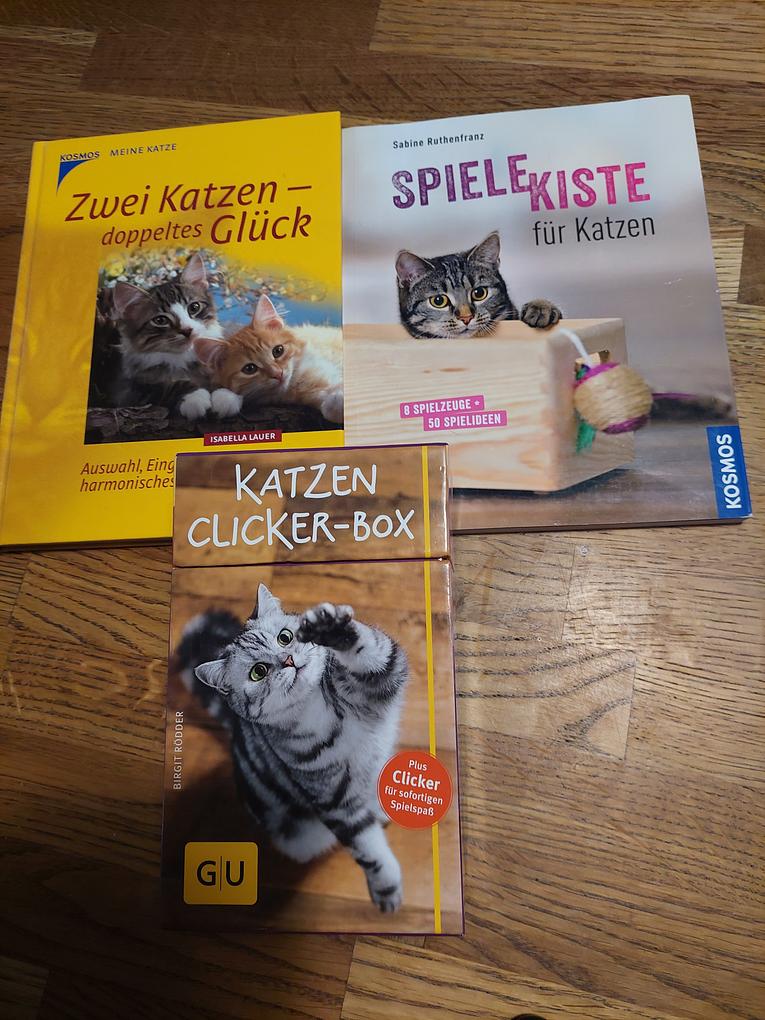 Collagebild 1