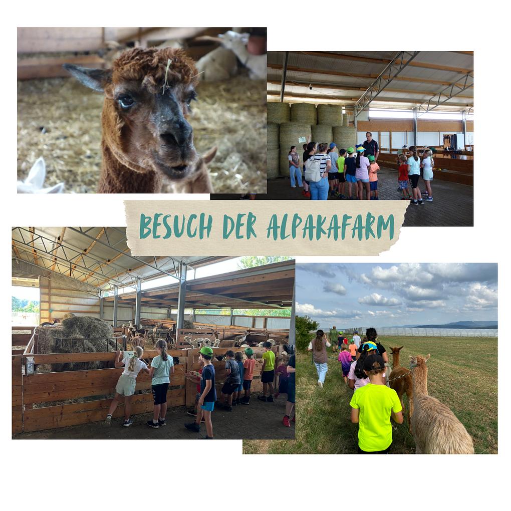 Collagebild 1