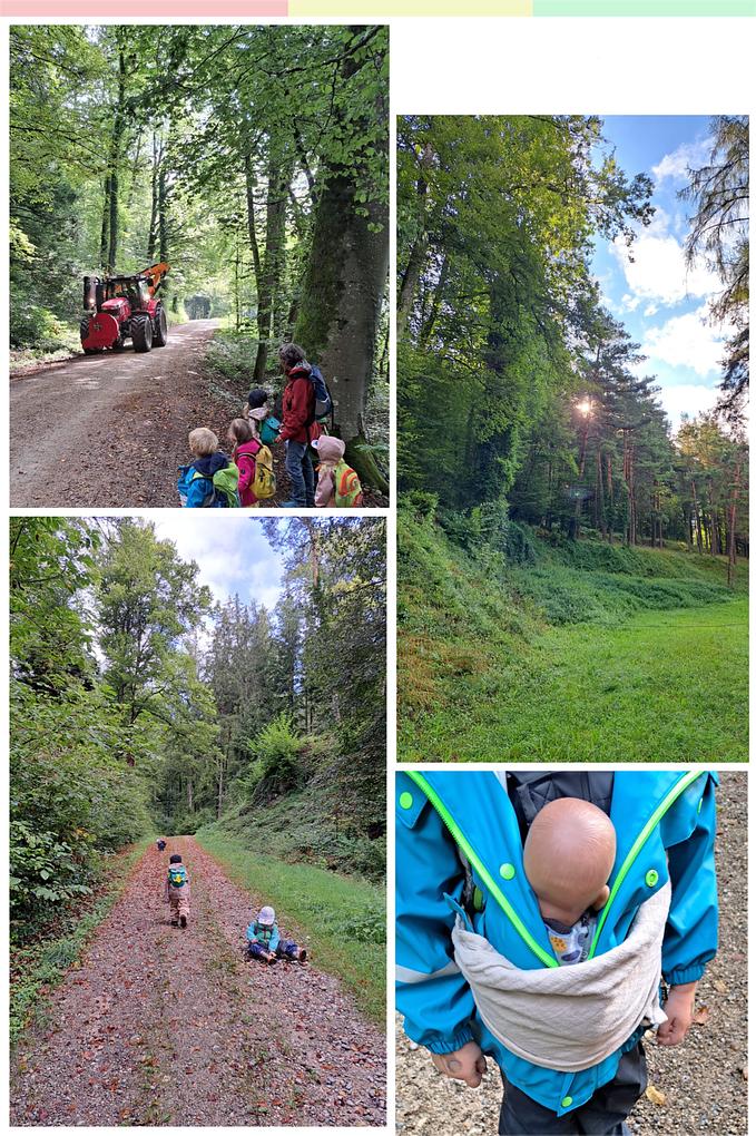 Collagebild 1