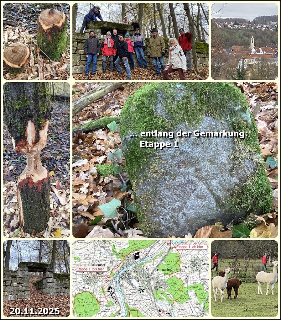 Image de collage 1