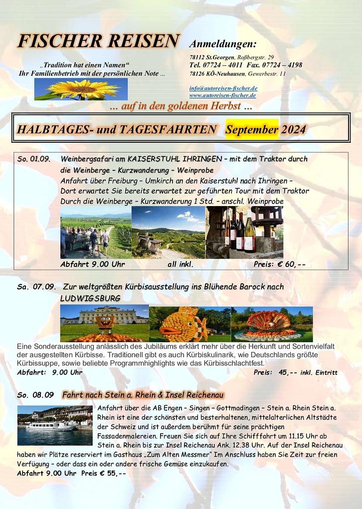 Image de collage 1