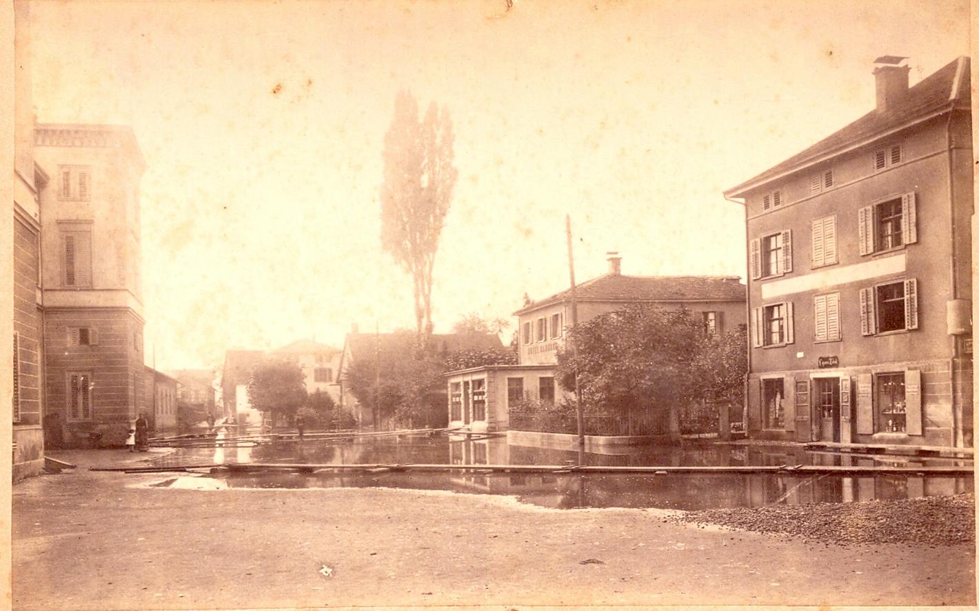 Collage image 1