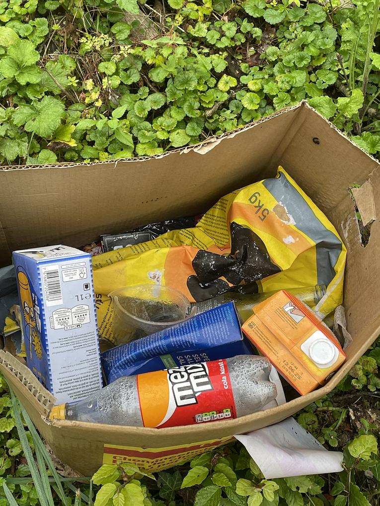 Bild im Zusammenhang mit dem Beitrag