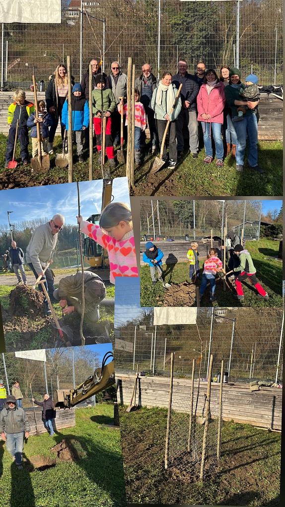 Collagebild 1