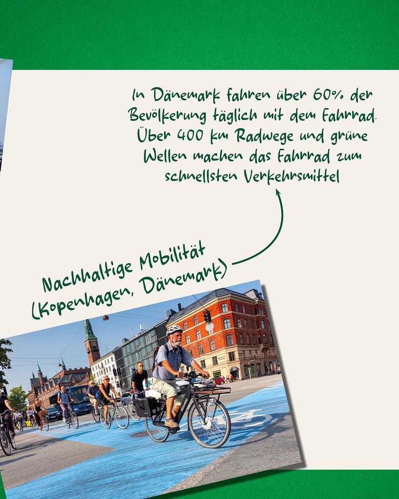 Collagebild 4