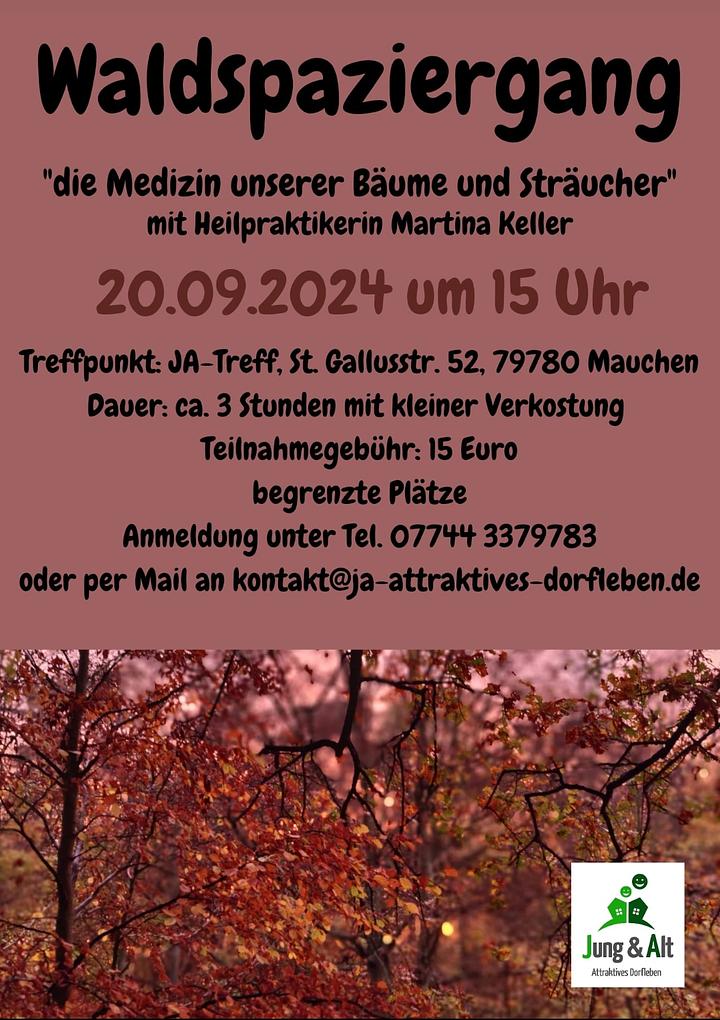 Bild im Zusammenhang mit dem Beitrag