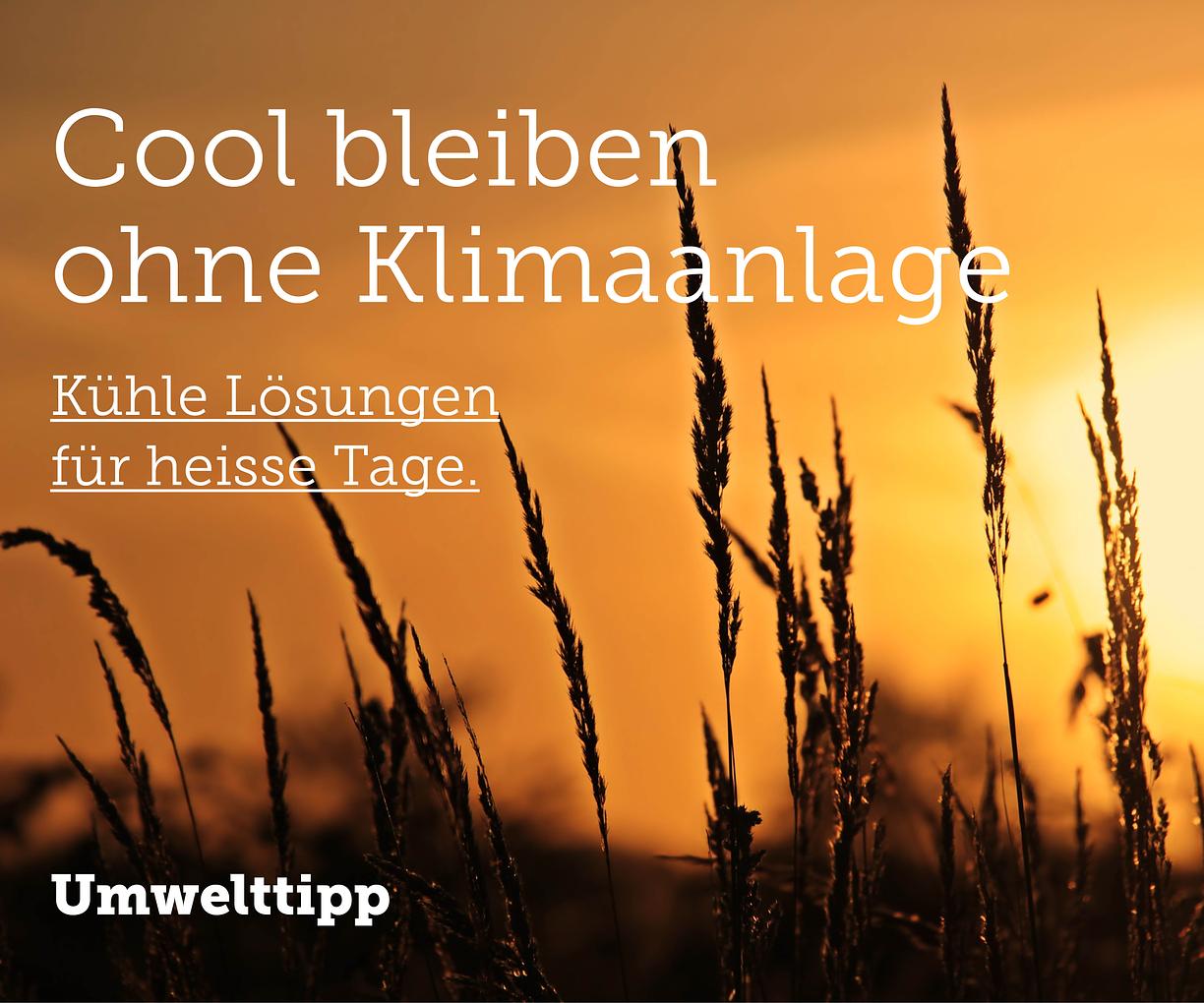 Bild im Zusammenhang mit dem Beitrag