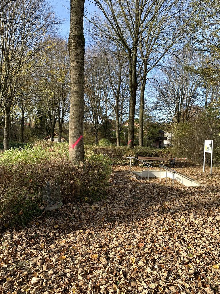 Collagebild 1