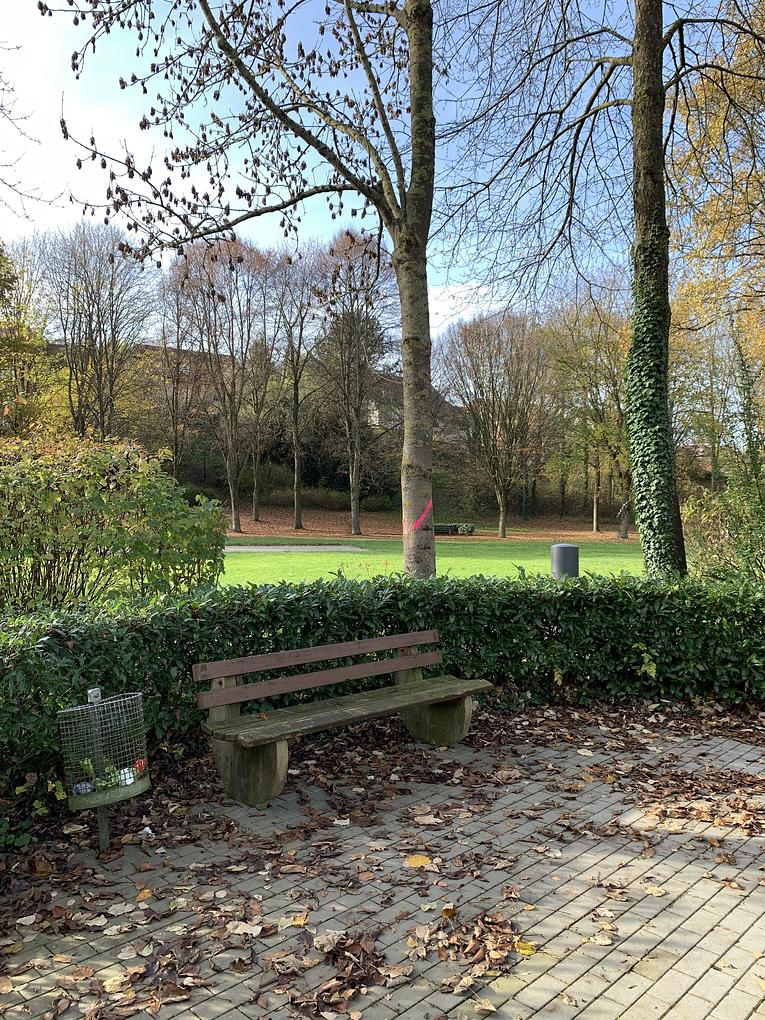 Collagebild 2