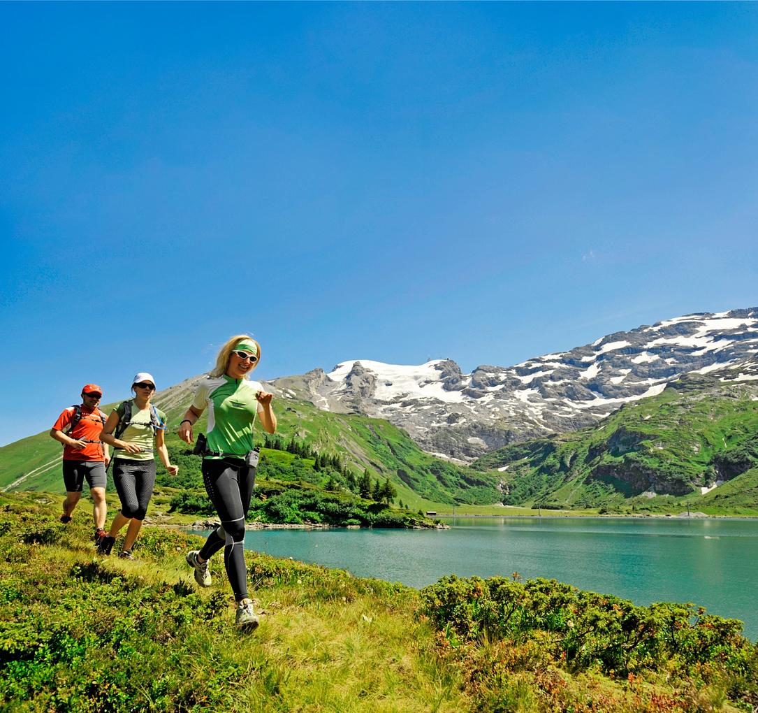 Collage image 1
