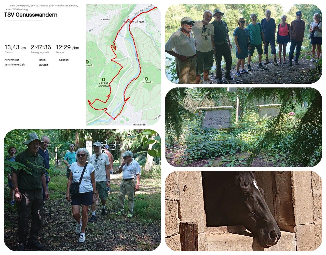 Collage image 1