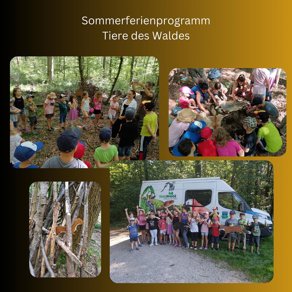 Collagebild 1