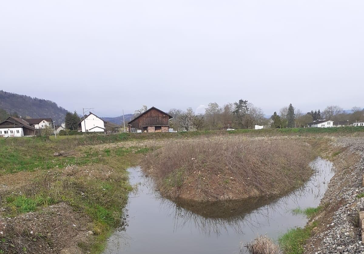 Bild im Zusammenhang mit dem Beitrag