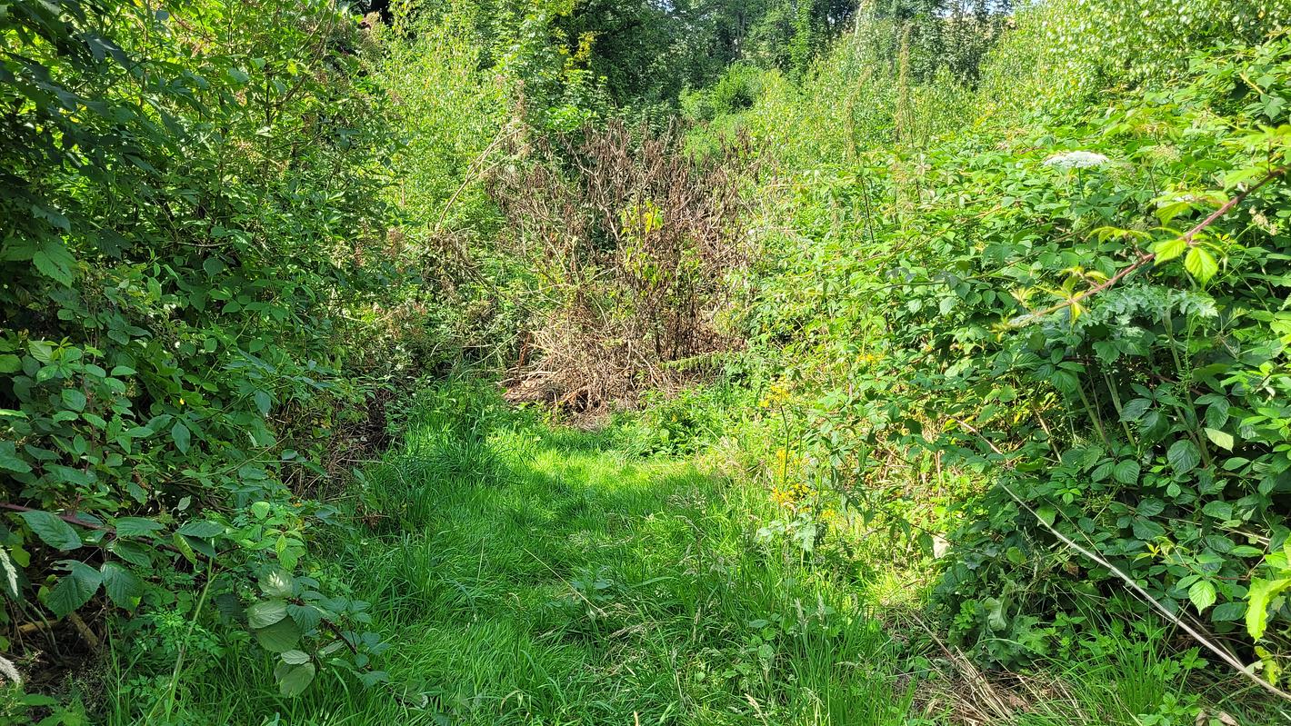 Bild im Zusammenhang mit dem Beitrag