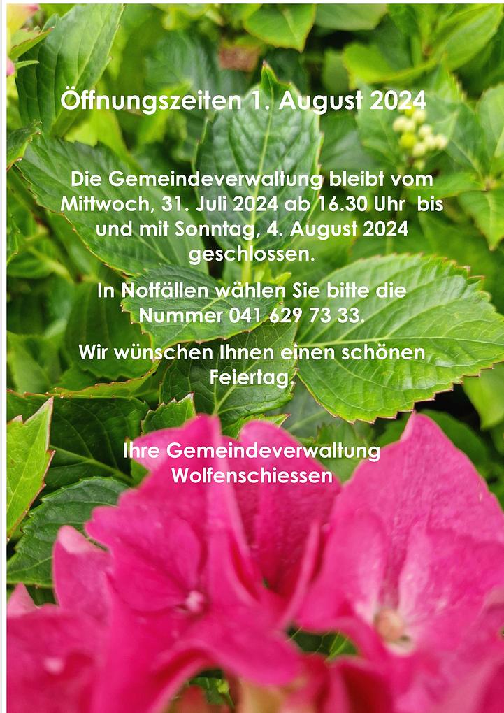 Bild im Zusammenhang mit dem Beitrag