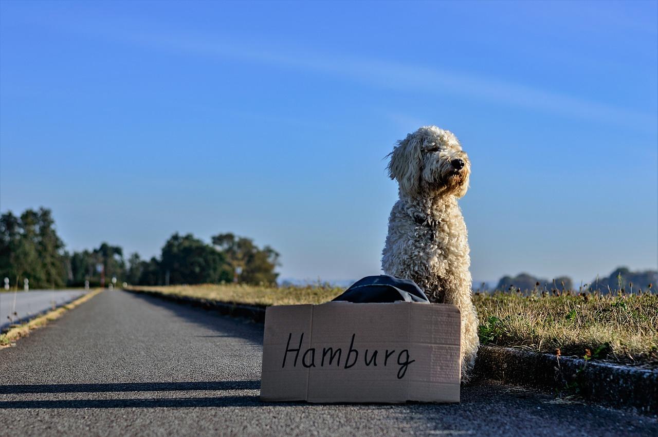 Bild im Zusammenhang mit dem Beitrag